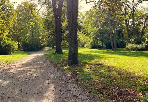 22-10-04 11-31-36 2234